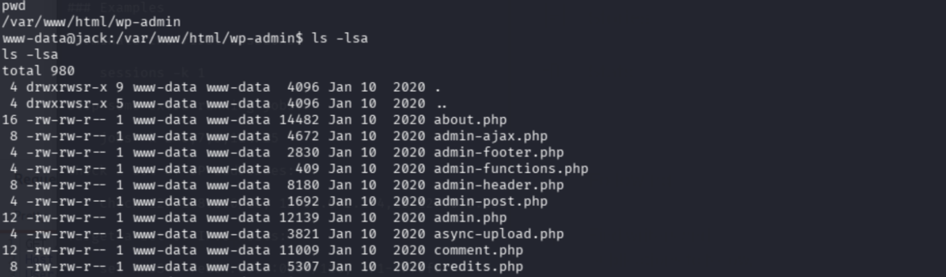 www-data permissions check